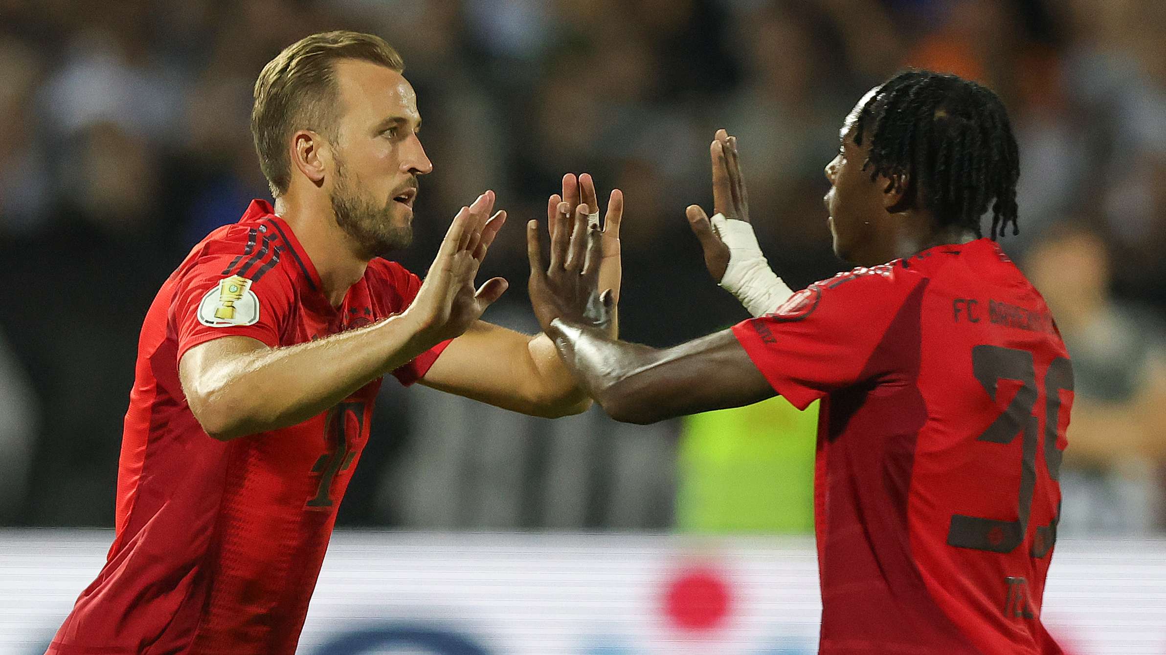 適應性和執 適應性和執