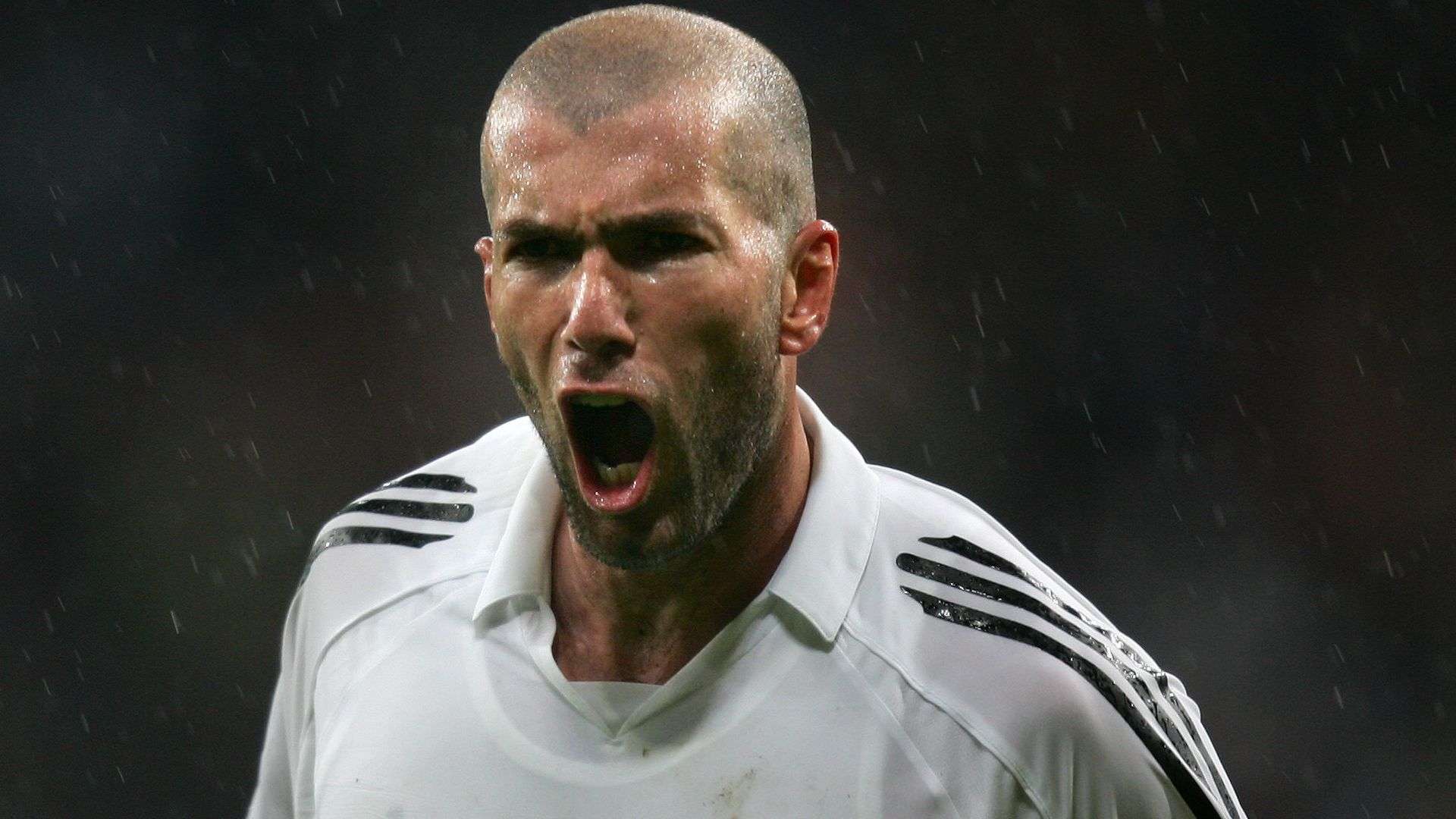 部的关注度 部的关注度